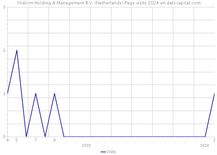 Yildirim Holding & Management B.V. (Netherlands) Page visits 2024 
