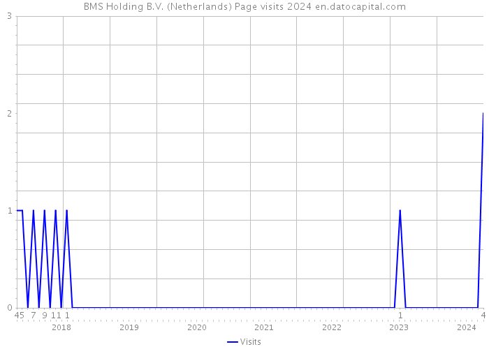 BMS Holding B.V. (Netherlands) Page visits 2024 