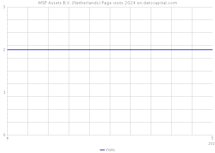 MSP Assets B.V. (Netherlands) Page visits 2024 