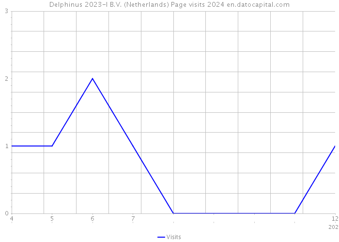 Delphinus 2023-I B.V. (Netherlands) Page visits 2024 