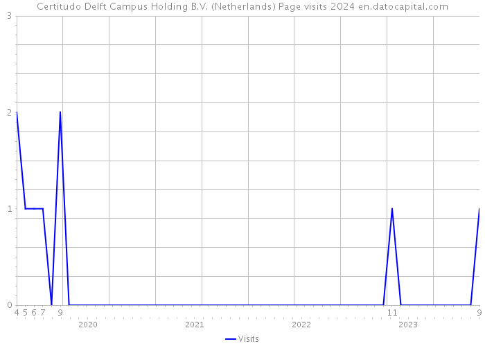Certitudo Delft Campus Holding B.V. (Netherlands) Page visits 2024 