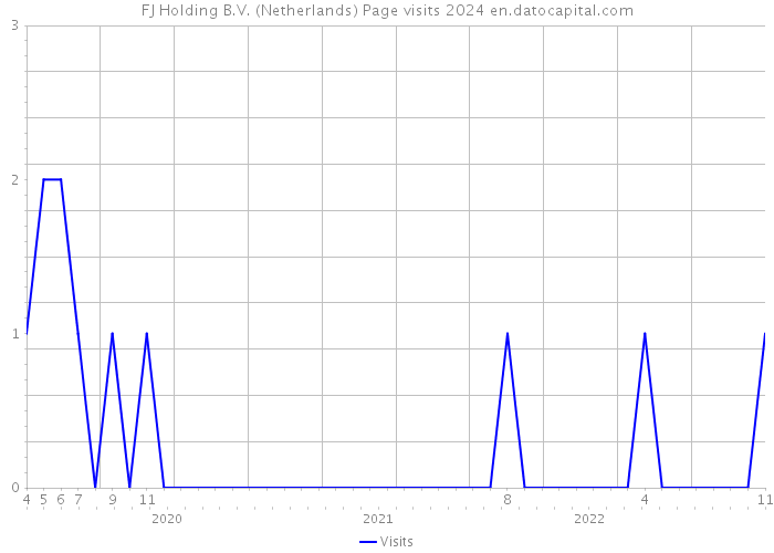 FJ Holding B.V. (Netherlands) Page visits 2024 