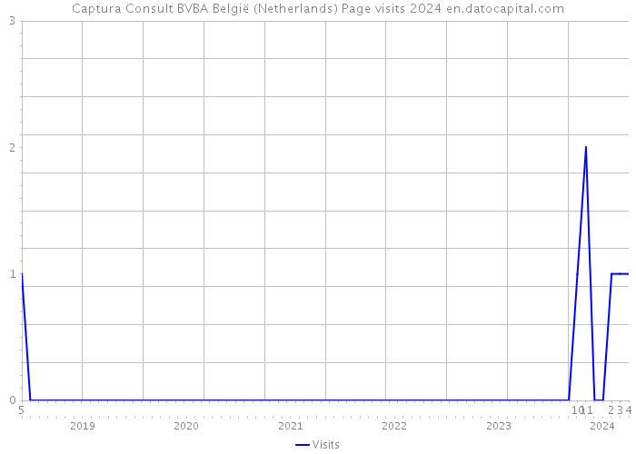Captura Consult BVBA België (Netherlands) Page visits 2024 