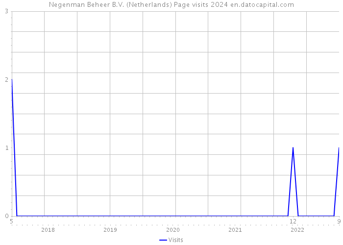 Negenman Beheer B.V. (Netherlands) Page visits 2024 