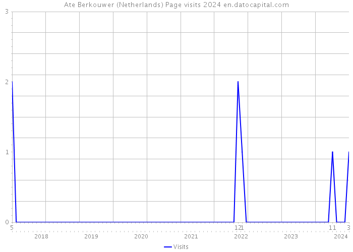 Ate Berkouwer (Netherlands) Page visits 2024 