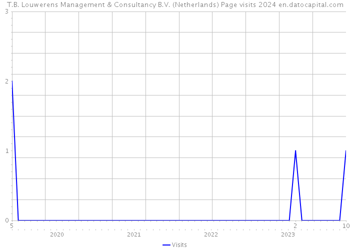 T.B. Louwerens Management & Consultancy B.V. (Netherlands) Page visits 2024 