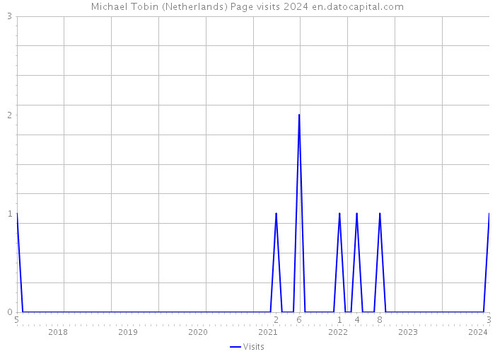 Michael Tobin (Netherlands) Page visits 2024 