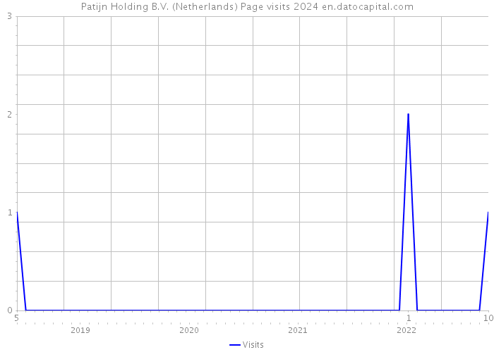 Patijn Holding B.V. (Netherlands) Page visits 2024 