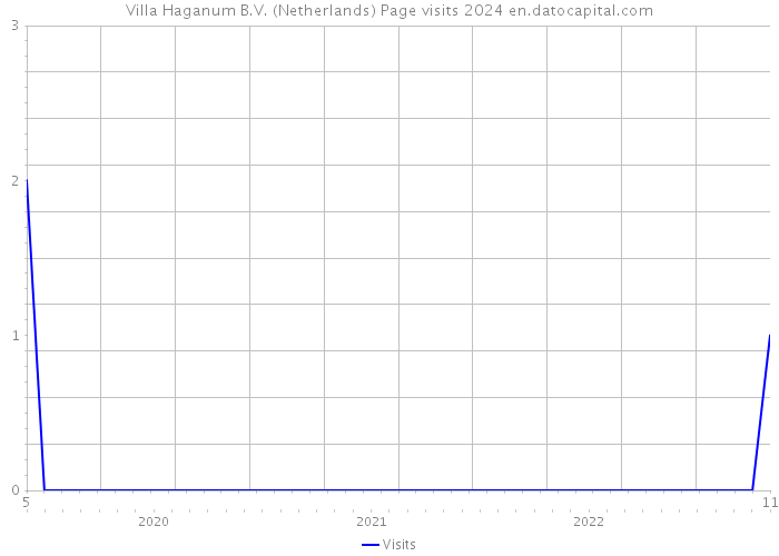 Villa Haganum B.V. (Netherlands) Page visits 2024 