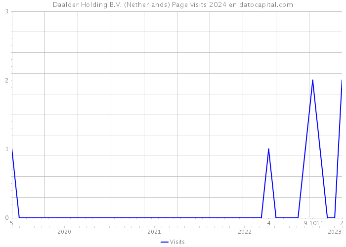 Daalder Holding B.V. (Netherlands) Page visits 2024 