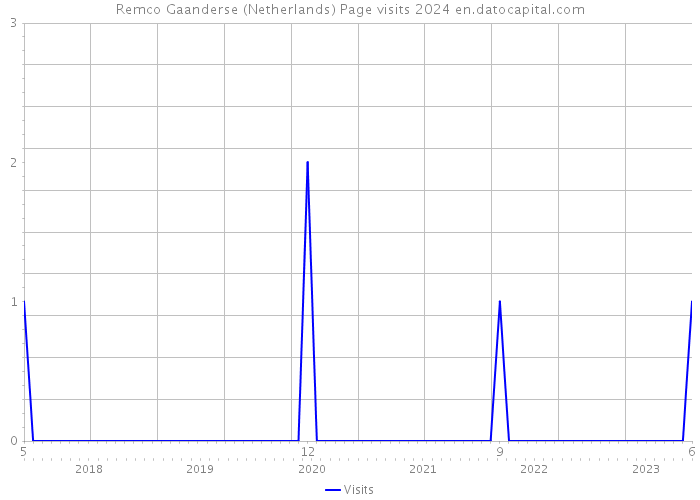Remco Gaanderse (Netherlands) Page visits 2024 