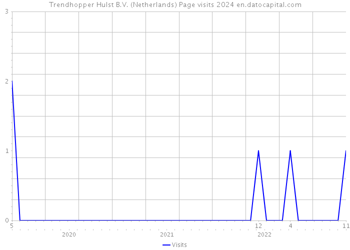 Trendhopper Hulst B.V. (Netherlands) Page visits 2024 