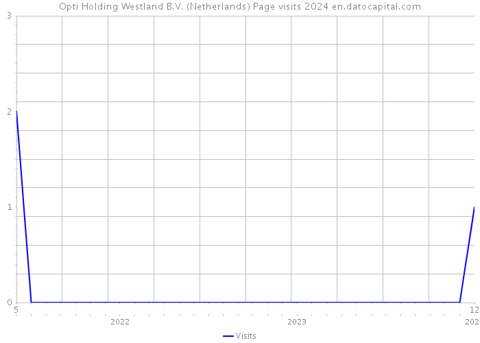 Opti Holding Westland B.V. (Netherlands) Page visits 2024 