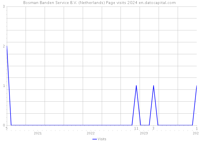 Bosman Banden Service B.V. (Netherlands) Page visits 2024 