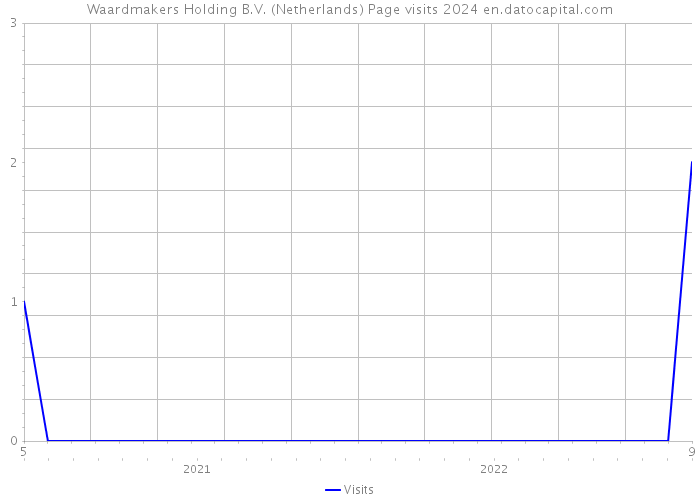 Waardmakers Holding B.V. (Netherlands) Page visits 2024 