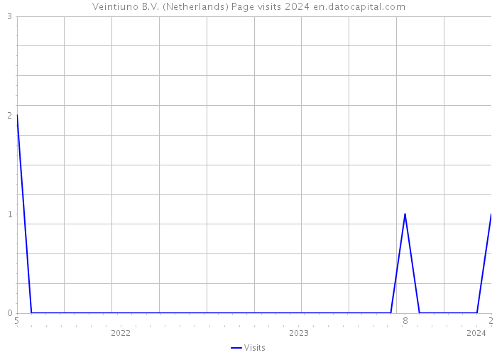 Veintiuno B.V. (Netherlands) Page visits 2024 