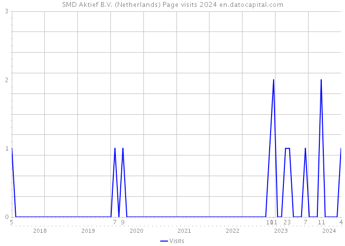 SMD Aktief B.V. (Netherlands) Page visits 2024 