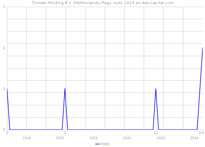 Tioman Holding B.V. (Netherlands) Page visits 2024 