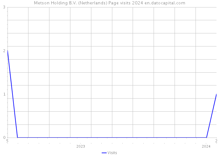 Metson Holding B.V. (Netherlands) Page visits 2024 
