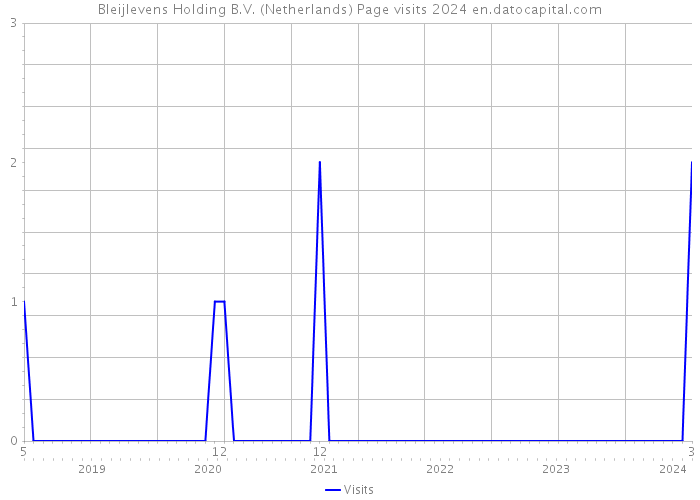 Bleijlevens Holding B.V. (Netherlands) Page visits 2024 