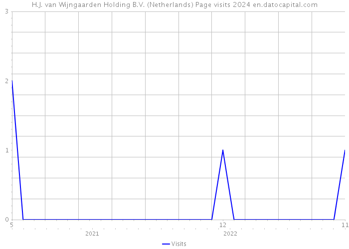 H.J. van Wijngaarden Holding B.V. (Netherlands) Page visits 2024 