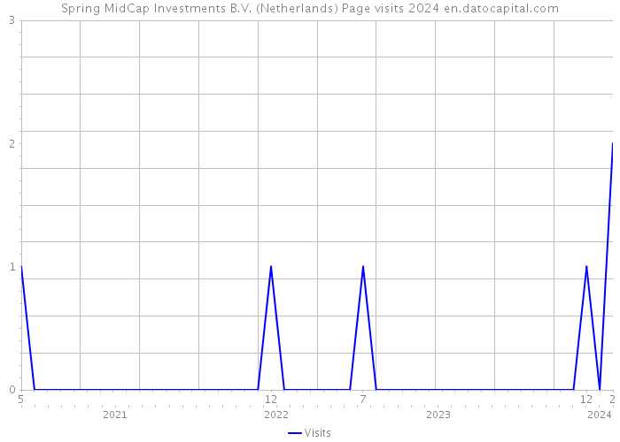 Spring MidCap Investments B.V. (Netherlands) Page visits 2024 