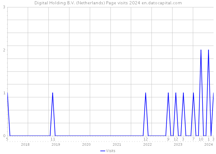 Digital Holding B.V. (Netherlands) Page visits 2024 