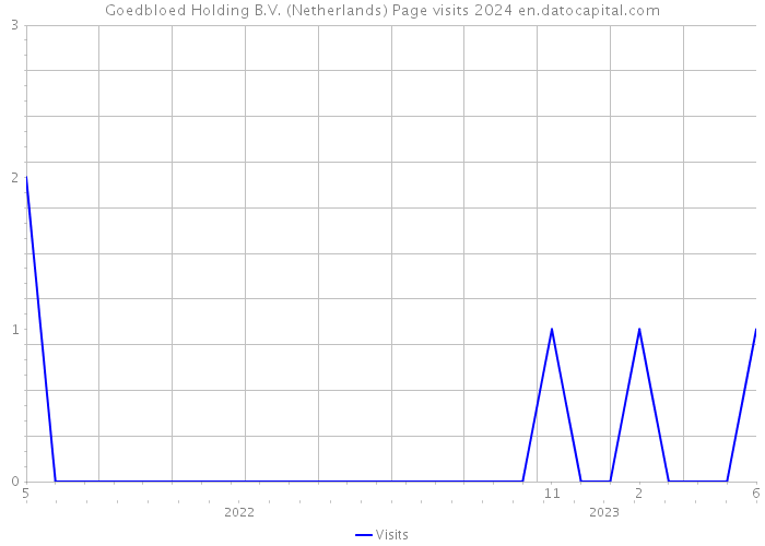 Goedbloed Holding B.V. (Netherlands) Page visits 2024 