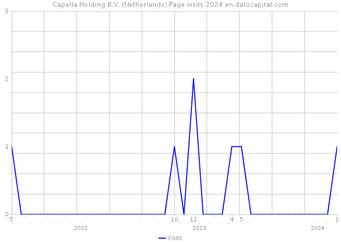 Capella Holding B.V. (Netherlands) Page visits 2024 