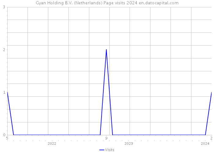 Gyan Holding B.V. (Netherlands) Page visits 2024 