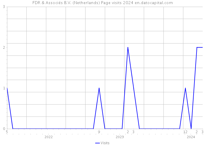 FDR & Associés B.V. (Netherlands) Page visits 2024 