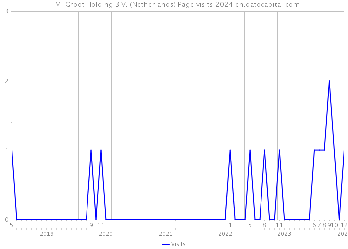 T.M. Groot Holding B.V. (Netherlands) Page visits 2024 