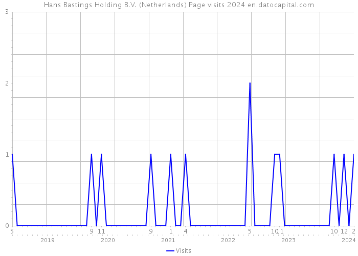 Hans Bastings Holding B.V. (Netherlands) Page visits 2024 