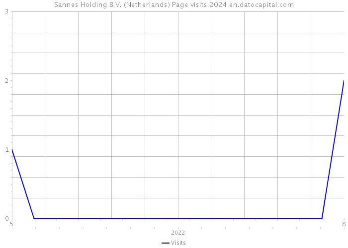 Sannes Holding B.V. (Netherlands) Page visits 2024 