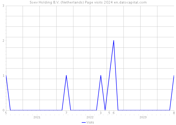 Soev Holding B.V. (Netherlands) Page visits 2024 