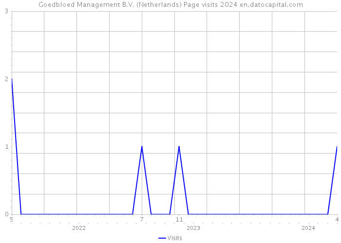 Goedbloed Management B.V. (Netherlands) Page visits 2024 