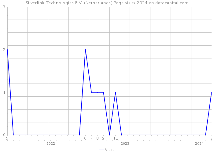Silverlink Technologies B.V. (Netherlands) Page visits 2024 
