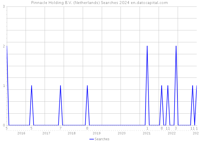 Pinnacle Holding B.V. (Netherlands) Searches 2024 