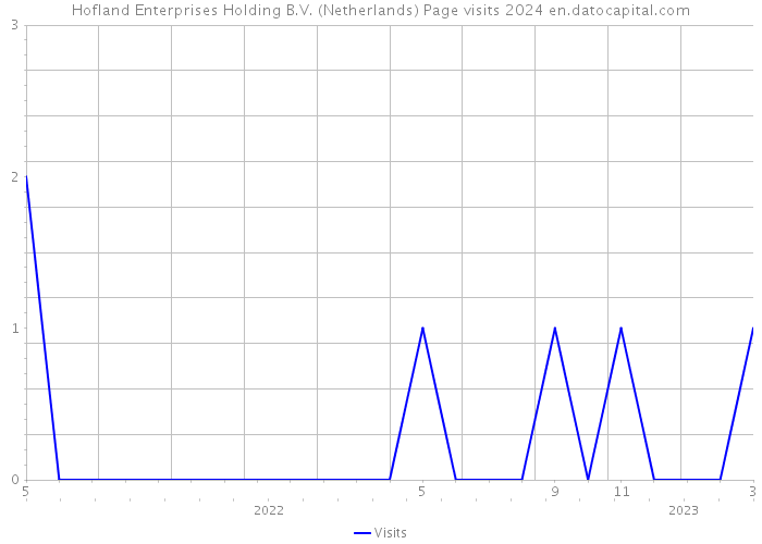 Hofland Enterprises Holding B.V. (Netherlands) Page visits 2024 