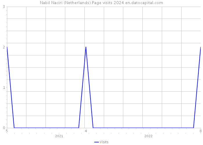 Nabil Naciri (Netherlands) Page visits 2024 