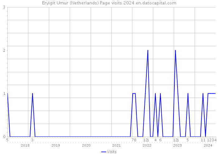Eryigit Umur (Netherlands) Page visits 2024 