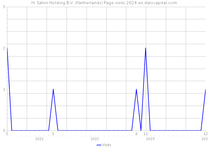 H. Sahin Holding B.V. (Netherlands) Page visits 2024 