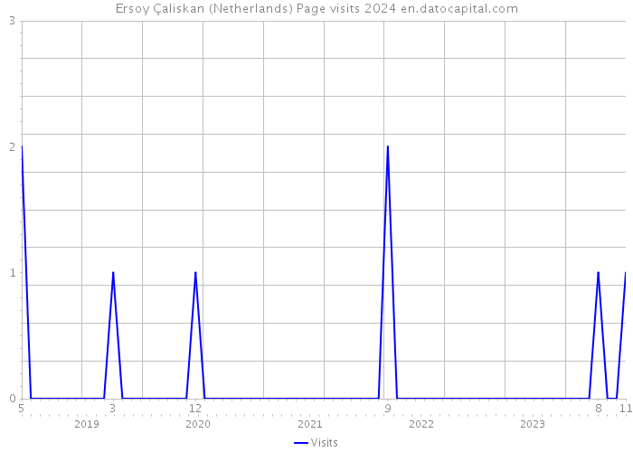 Ersoy Çaliskan (Netherlands) Page visits 2024 