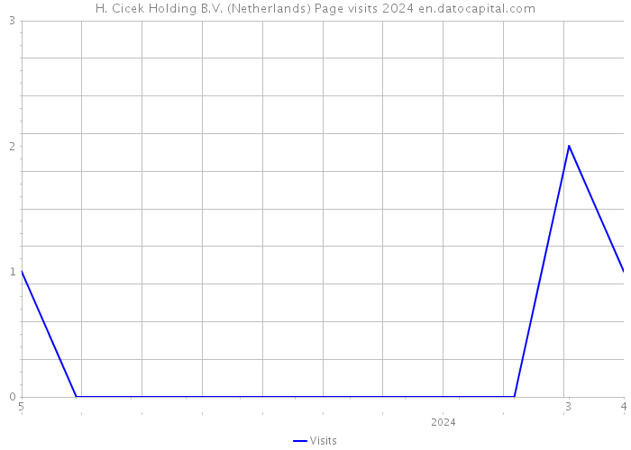 H. Cicek Holding B.V. (Netherlands) Page visits 2024 
