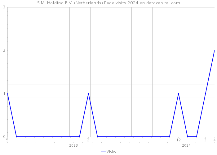 S.M. Holding B.V. (Netherlands) Page visits 2024 