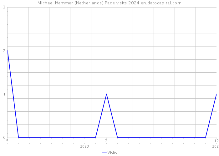 Michael Hemmer (Netherlands) Page visits 2024 