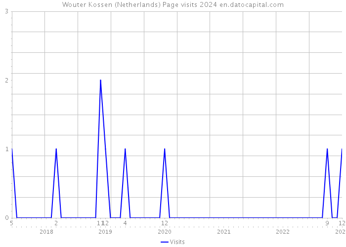 Wouter Kossen (Netherlands) Page visits 2024 
