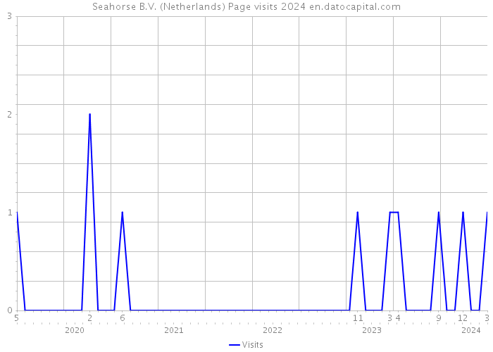 Seahorse B.V. (Netherlands) Page visits 2024 