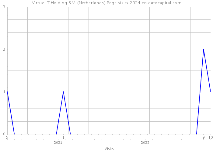 Virtue IT Holding B.V. (Netherlands) Page visits 2024 