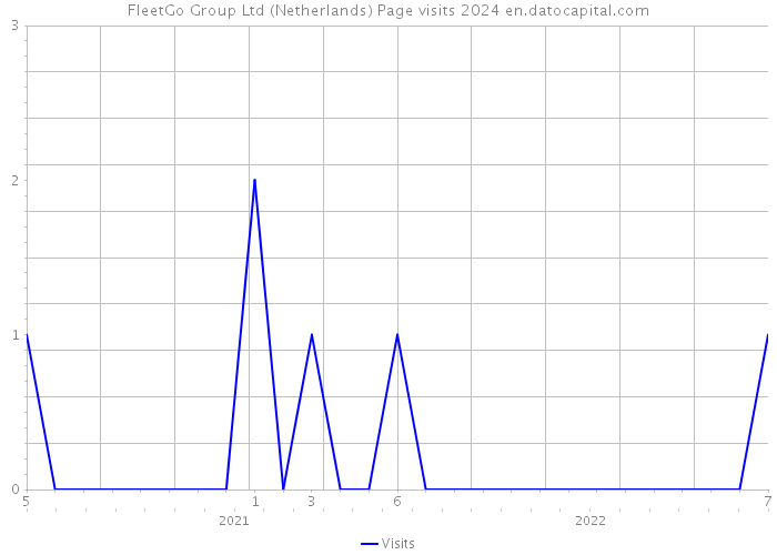 FleetGo Group Ltd (Netherlands) Page visits 2024 